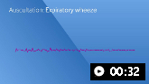 Expiratory wheeze